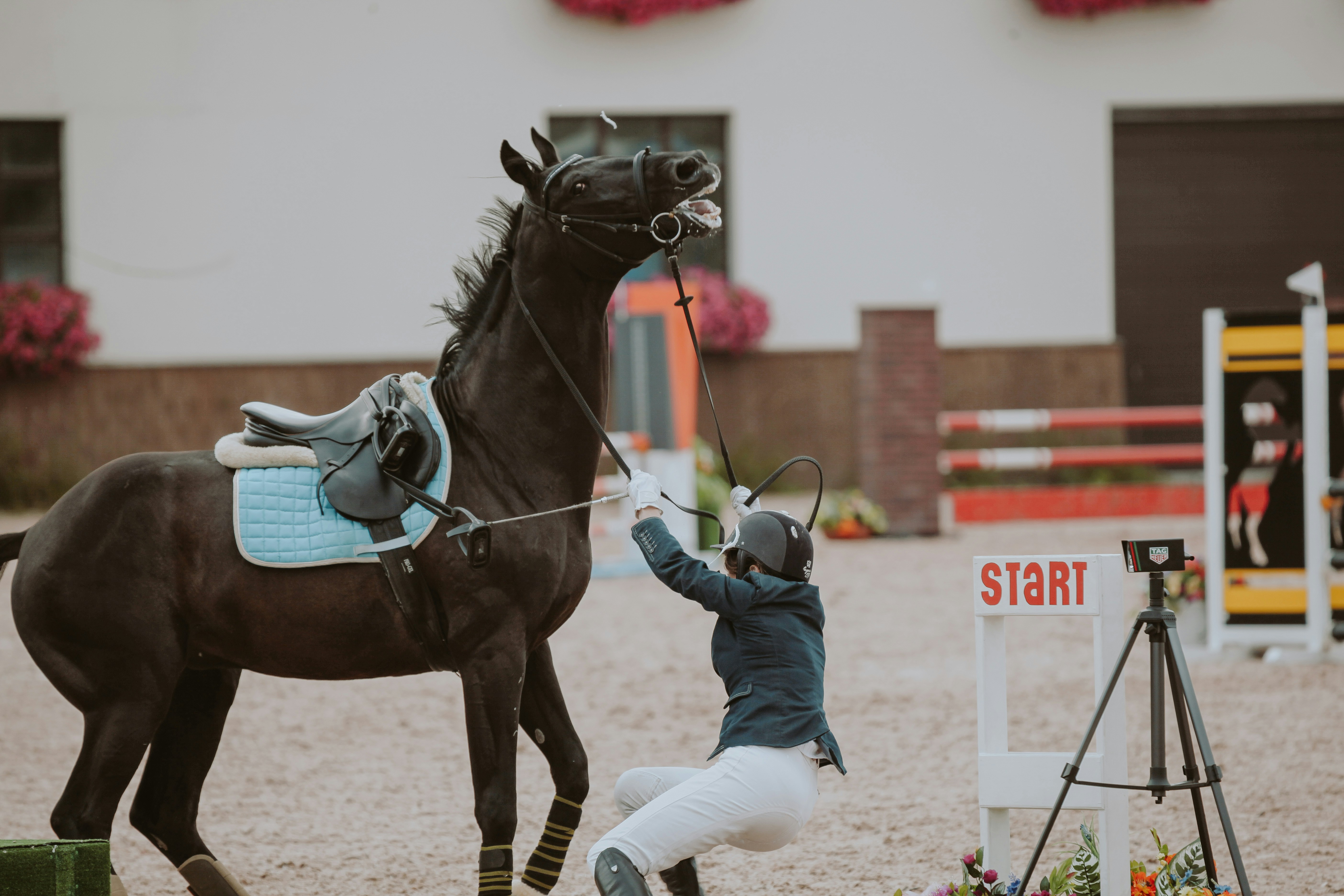 Můj kůň se chová jako cvok! Pomoc! 