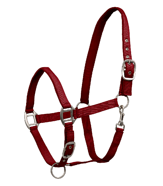 Ohlávka Perlon Satin (cob) Waldhausen