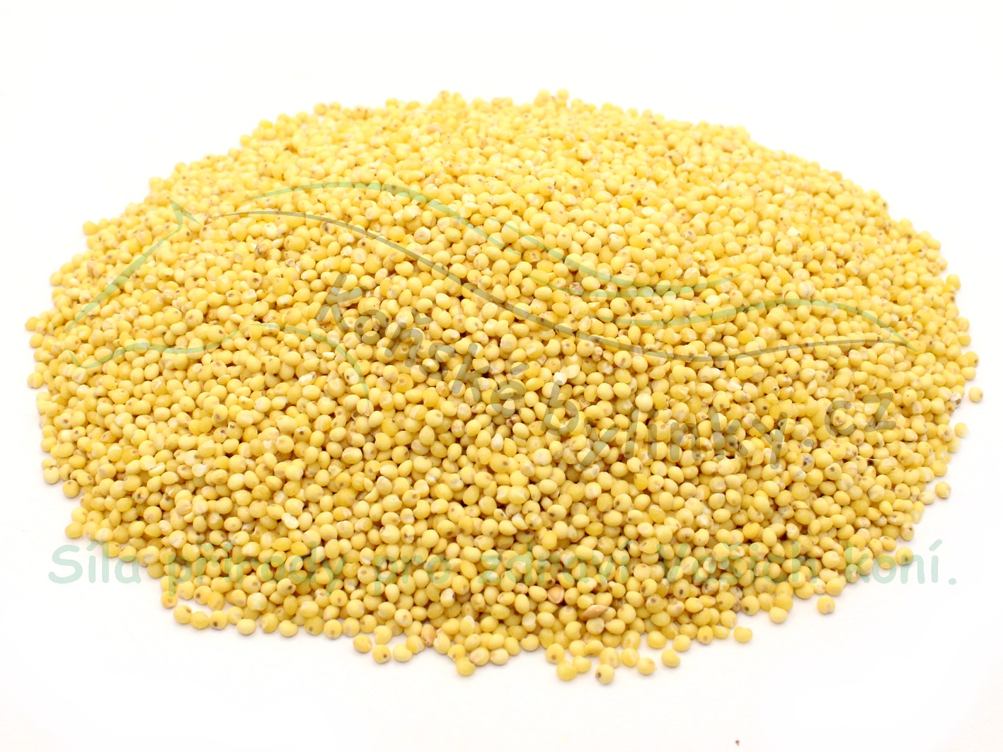 Jáhly 1kg