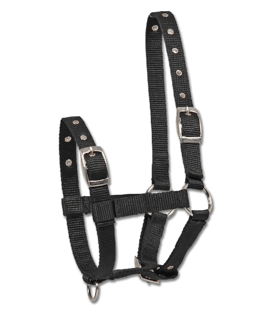 Hříběcí ohlávka Foal halter Triple Waldhausen