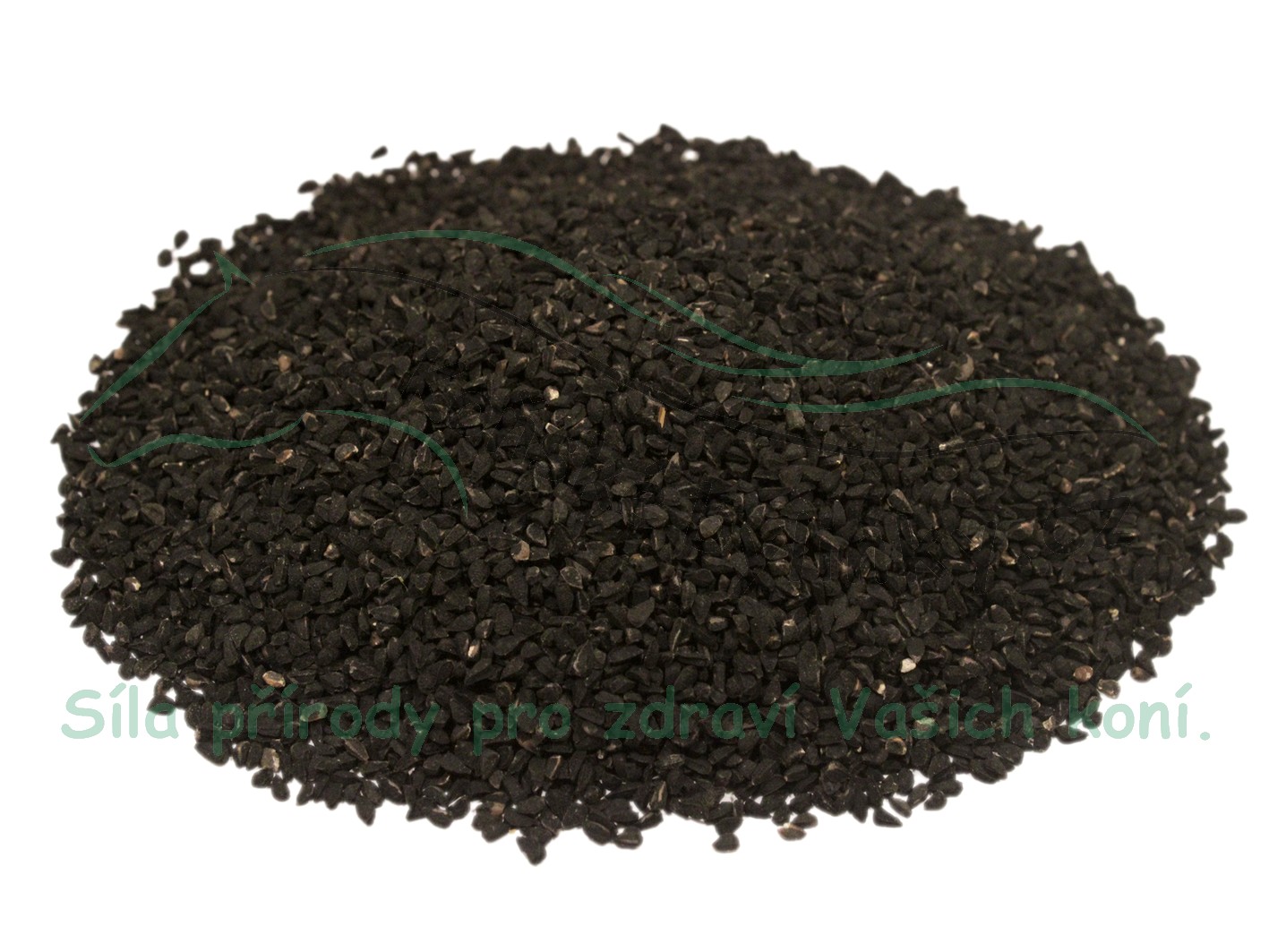 Černý kmín - Černucha (Nigella sativa) 1 kg