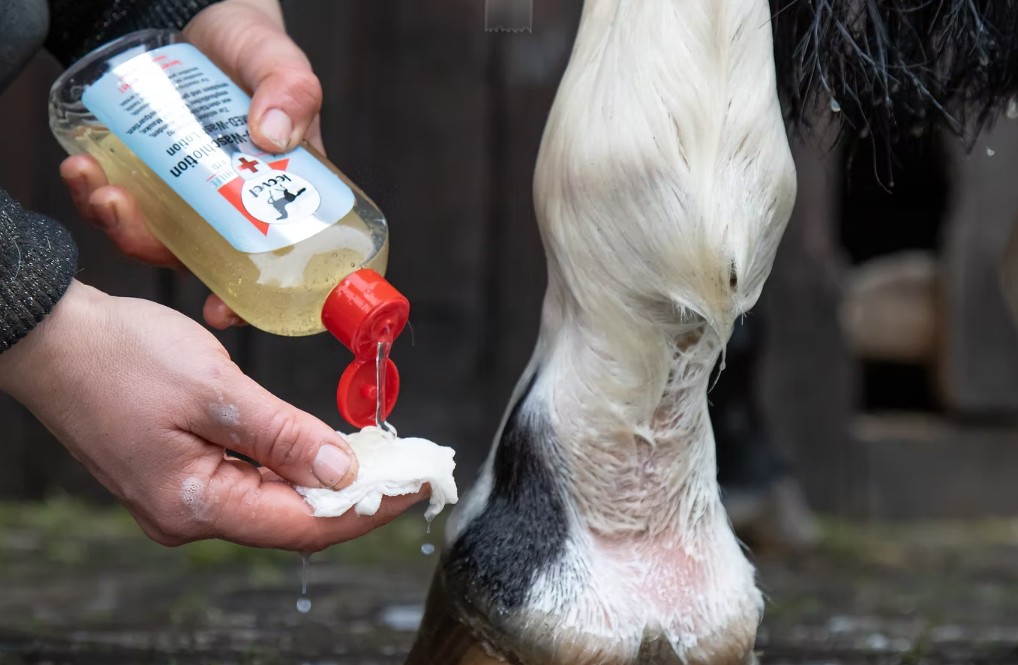 Leovet - Dezinfekční gel (Med Waschlotion) 250ml