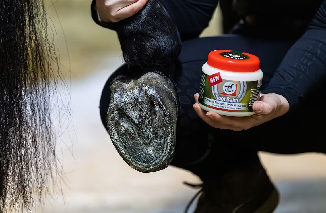 Leovet Hoof Balm - balzám na kopyta s prebiotiky 450ml