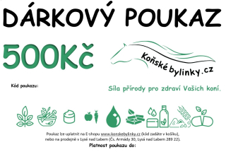 Dárkový poukaz v hodnotě 500,-Kč