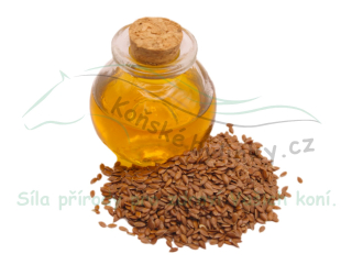 Suprachor - Lněný olej 3l